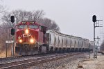 CP 8137